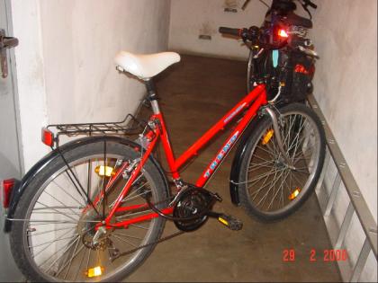 Damenmountainbike 26 Zoll marke TREND