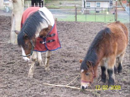 Kleiner Fratz sucht neues Zuhause