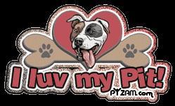 Pit Bull Staff FORUM