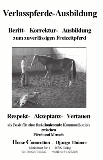Verlasspferdetraining : Sie und Ihr Pferd - ein unschlagbares Team