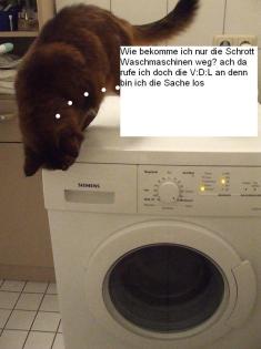 Schauen sie  mal nach viel leicht haben sie was in Keller  oder so was weg muss