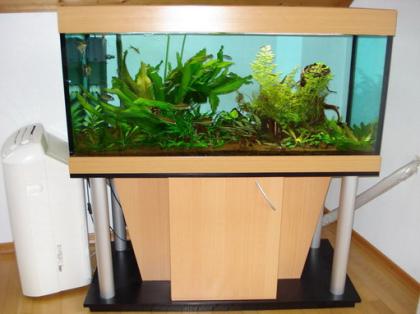 MP Smaragd 130 Raumteiler Aquarium Kombination