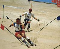 Skifahren im Sommer - Sport   Spaß im Amberg Sulzbacher Land