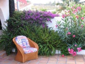 Ferienhaus auf Teneriffa Casa Palmita