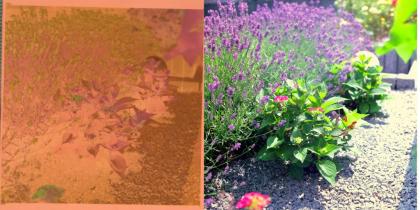 Alte Fotos digitalisieren