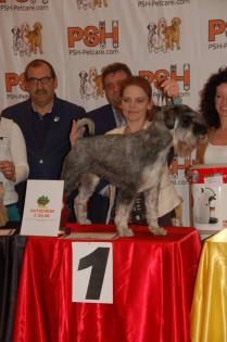 Hundesalon Professionell in Zirndorf