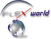 2. Standbein mit Flexworld
