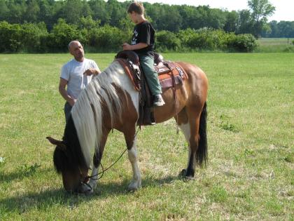 Reiten für Kinder,ältere Reitanfänger und Wiedereinsteiger