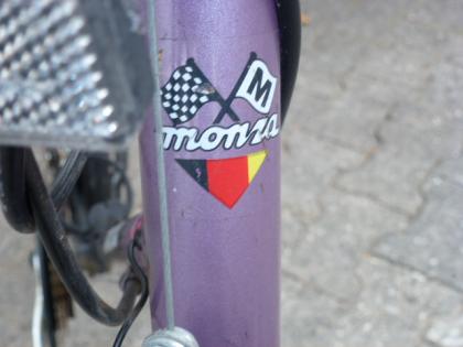 (135) 18 Gang MONZA 26 Zoll Rh 53 mit Beleuchtung