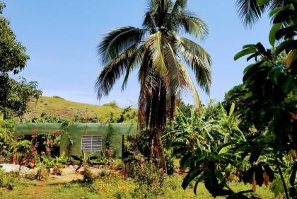 DomRep Haus mit Bananenplantage zu Verkaufen.