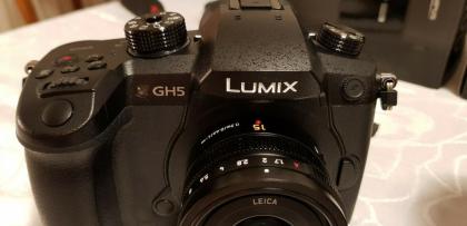 Panasonic GH5+Olympus M. Zuiko 12-100mm Leica DG Summilux 15mm