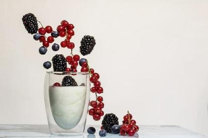 Joghurt ohne Zusatzstoffe für eine gesunde Darmflora