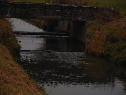 Fischereirecht Fließgewässer Baggersee Fischwasser Angeln Fischen