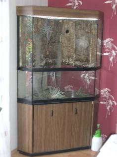 Eckterrarium/Palludarium mit Unterschrank H175xB107xT68 cm