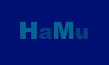 HaMu suche Arbeit/Aufträge Trockenbau  Treppenreinigung  Wohnungs Modernisierung
