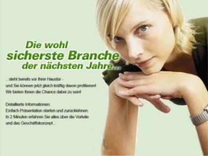 Zusatzeinkommen oder Karriere