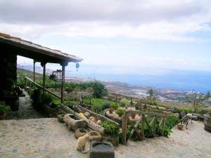 Ferienhaus und Ferienwohnung auf Teneriffa - Landhaus El Granero