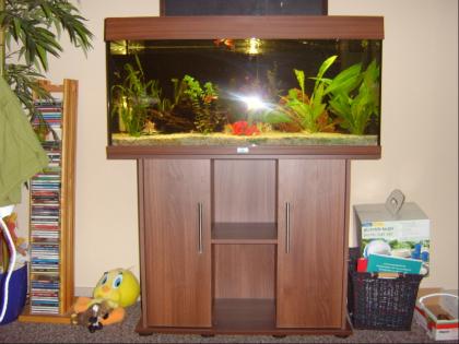 180l Aquarium mit Unterschrank, Fische und Pflanzen