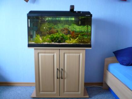 Verkaufe Aquarium 112l