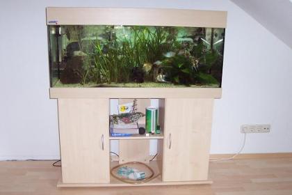 Aquarium + Zubehör + Unterstellschrank