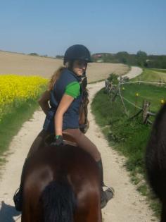 Suche REITBETEILIGUNG | Englischer Reitstil