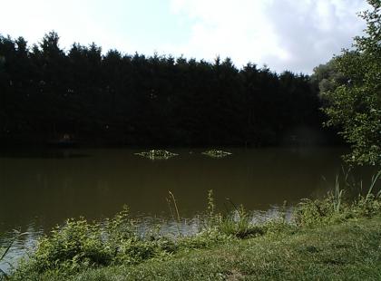 Angelteich sucht mit Pächter