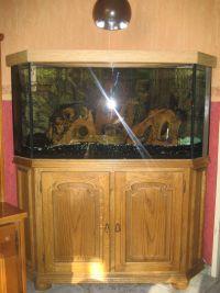 Eck Aquarium mit Unterschrank