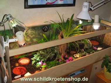 Terrarien für Landschildkröten aus Holz NEU