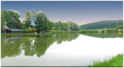 Sportfischer Paradies Ninaus -