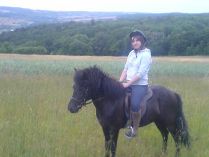 Suchen Reitbeteiligung im Raum Saarbrücken