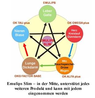 Wir fangen an und bieten Ihnen die Möglichkeit, mit zu machen.