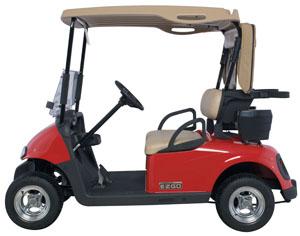 E-Z-GO RXV Elektrofahrzeug Golfcart, Zweisitzer NEU