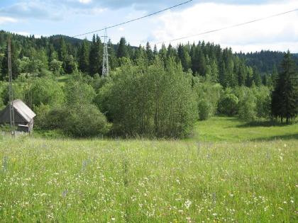 Privatgrundstück in Erholungsort Izvoru Muresului (Transilvanien /Rumänien