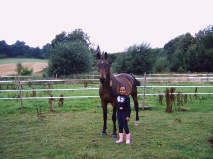 Verkaufe Deutsches Reitpferd mit Beistellpony