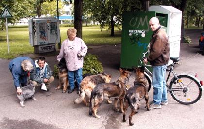 Suche schwierigen Hund Hündin - rasseoffen u. kostenlos