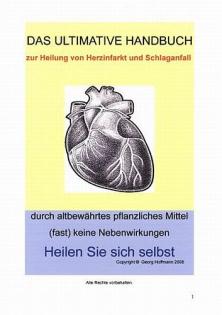 Alternativeheilung.eu   schlaganfall vorbeugen