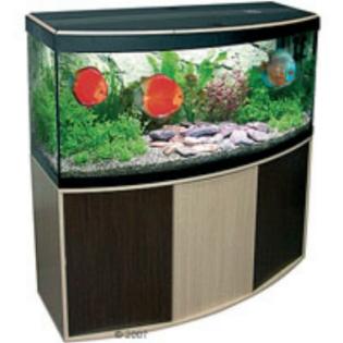 Aquarium Fluval Vicenza 180 Kombination, Wie Neu