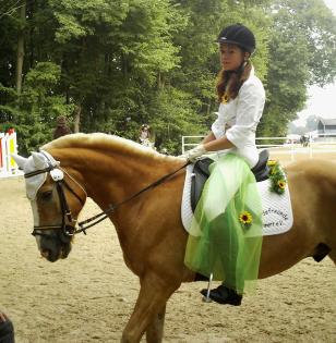 Schleifensammler zu verkaufen. Haflinger, 150cm