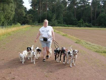 Suche dringend Hundefreundlichen Vermieter