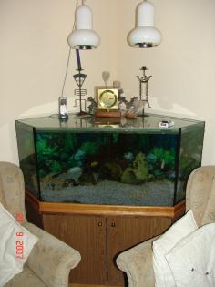 Eck Aquarium mit unterschrank komplett