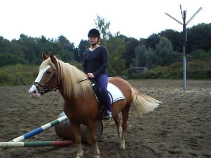 Biete Reitbeteiligung für meinen Haflinger in Bochum  ab 16 J.