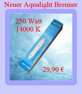 Aqualight HQI Brenner 250 Watt  14000 K TS-Fc2