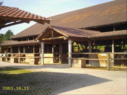 Freie Boxen-Paddocks-Weide