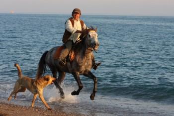 Türkei Reiturlaub