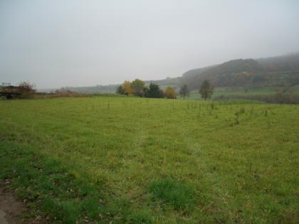 Baugrundstück 2800 Qm
