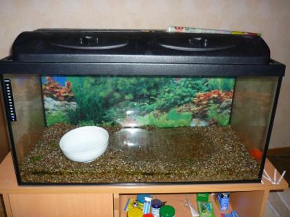 Terrarium 80x35x40 mit Abdeckung