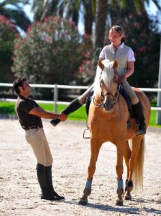 Reitkurse mit Manolo Oliva unter spanischer Sonne!