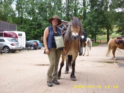 Wanderreiten in Eifel, Hunsrück, Westerwald. Pfalz