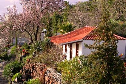 LA PALMA - Casa Cadena  Apartement  