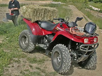 Vermietung Qaud & ATV